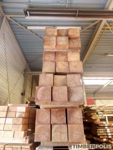 tropische houtsoorten
