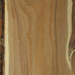 Acacia - Timmerhout