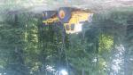 Houtsleepcombinatie - forwarder VOLVO 868  |  Bosbouwtechniek | Houtbewerkingsmachines | Adam