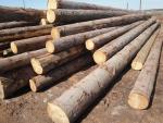 Spar Zaagrondhout | Zachthout | Rondhout | TRANS-WOOD