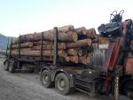 Eik Staande rondhout | Hardhout | Rondhout | FIGULI, s.r.o.