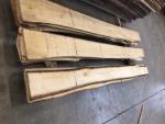 Linde Timmerhout | Hardhout | Timmerhout | JAF HOLZ Slovakia