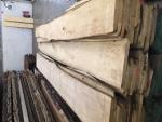 Linde Timmerhout | Hardhout | Timmerhout | JAF HOLZ Slovakia