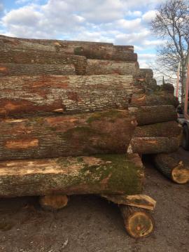 Eik Fineerrondhout | Hardhout | Rondhout | D&C SNEGL