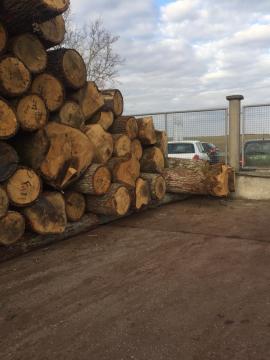 Eik Fineerrondhout | Hardhout | Rondhout | D&C SNEGL