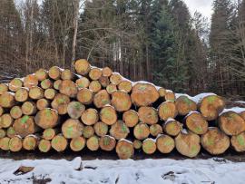 Spar Zaagrondhout |  Zachthout | Rondhout | ALBA Forrest s.r.o.