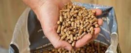 Pellets Pijn | Brandstof, briketten | SCOPULUS Handels-und Dienstleistungs GmbH