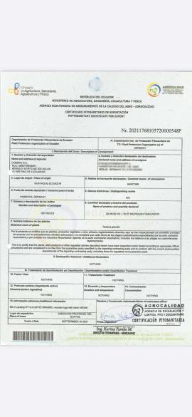 Teak Zaagrondhout |  Tropische houtsoorten | Rondhout | SOFT IT SP .ZO.O SPÓŁKA Z OGRANICZONĄ ODPO