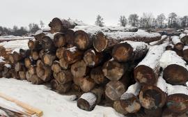 Hout voor pulp