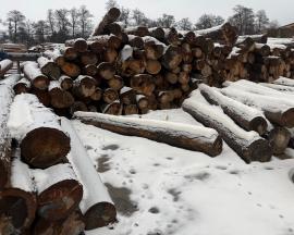 Spar Hout voor pulp |  Zachthout | Rondhout | mku