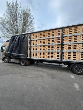 Paletten Eenmalige paletten | Verpakkingen, paletten | Woodproo s.r.o.